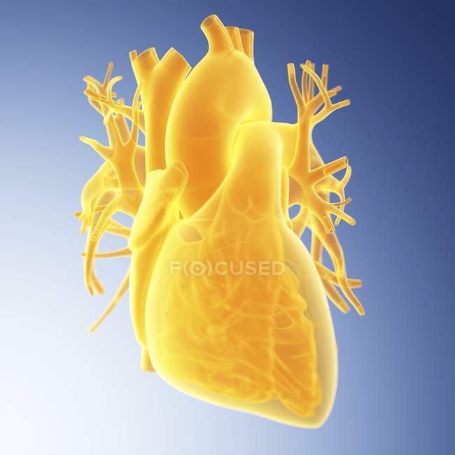 Ilustración de corazón amarillo sobre fondo azul . - foto de stock
