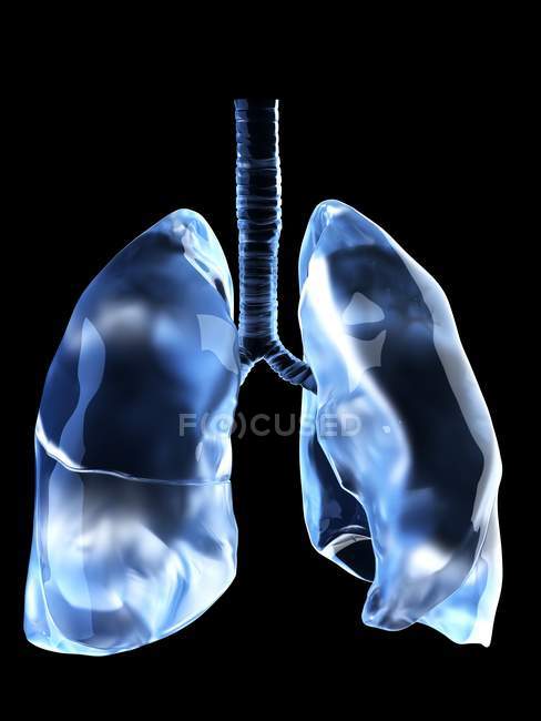 Illustrazione di polmoni umani su sfondo nero . — Foto stock