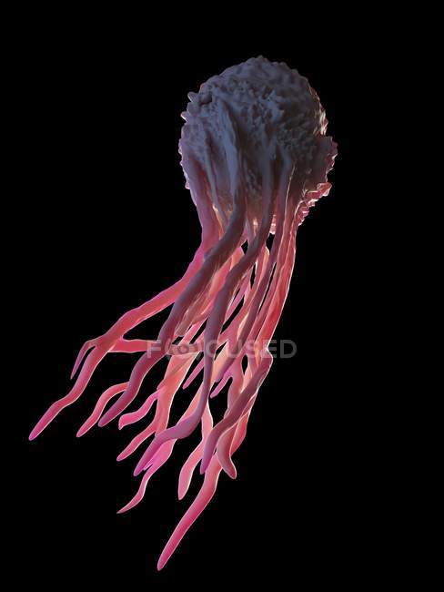Magnified digital illustration of macrophage cell. — Stock Photo