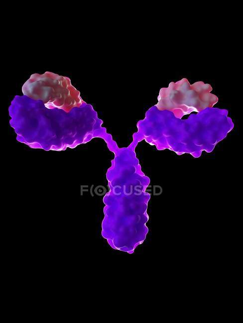 Vergrößerte digitale Darstellung der Antikörperzelle. — Stockfoto