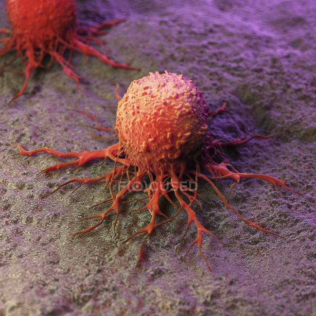Illustrazione di cellule tumorali astratte con tentacoli . — Foto stock