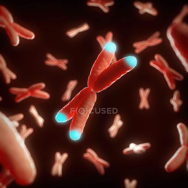 Abstract digital illustration of x-shaped telomeres of DNA. — Stock Photo