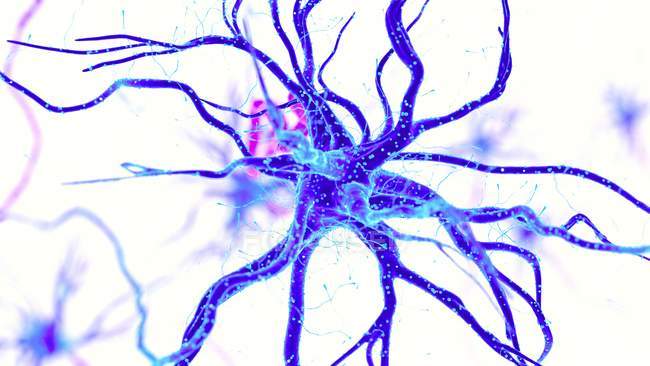 Абстрактное искусство структуры нервных клеток человека
. — стоковое фото