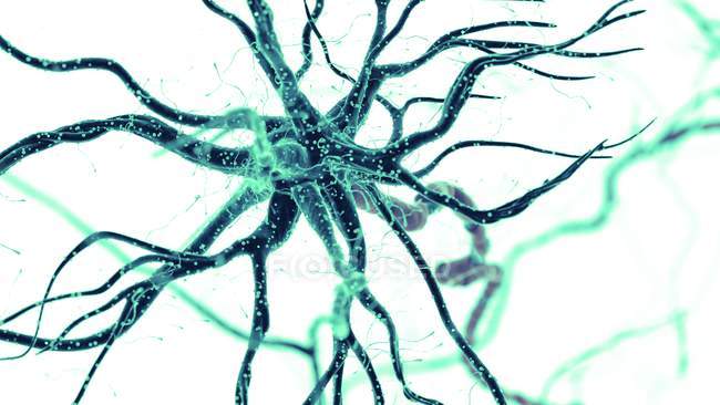 Farbige Abbildung der grünen menschlichen Nervenzelle. — Stockfoto