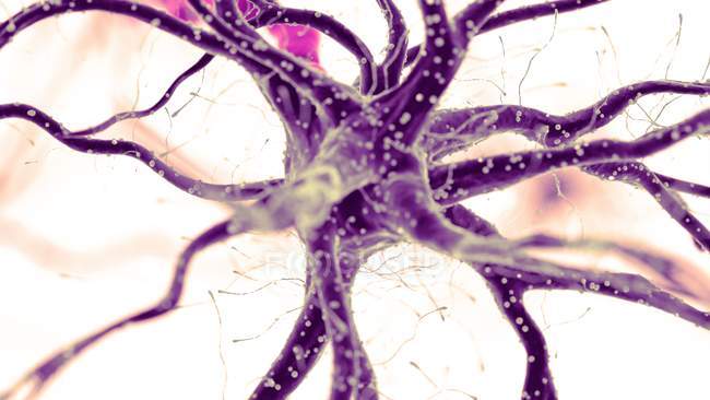 Abstract colored illustration of human nerve cell on light background. — Stock Photo
