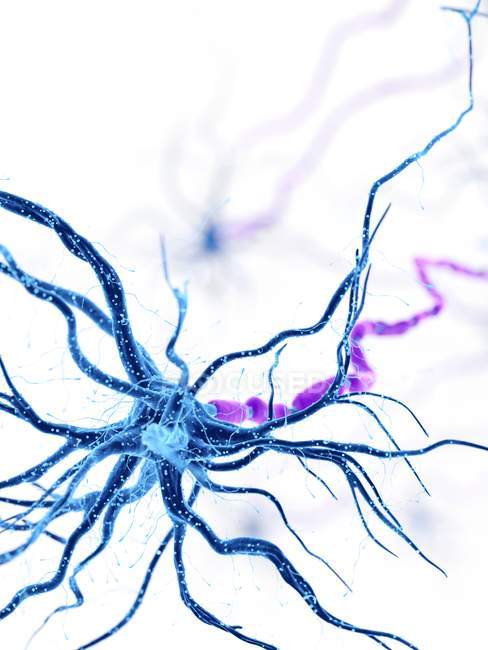 Ilustração digital de células nervosas humanas com dendritos . — Fotografia de Stock