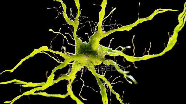 Farbige Darstellung der Nervenzelle auf schwarzem Hintergrund. — Stockfoto