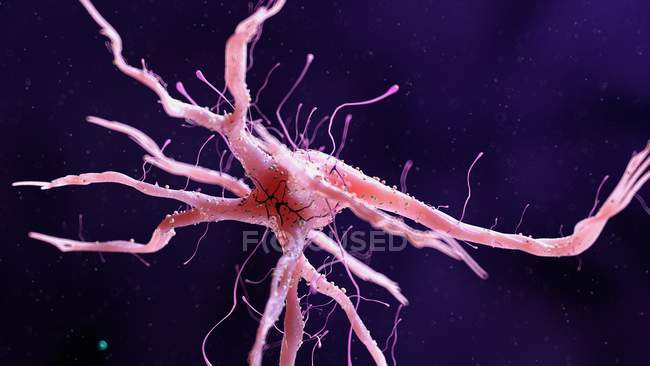 Colored illustration of nerve cell on dark background. — Stock Photo
