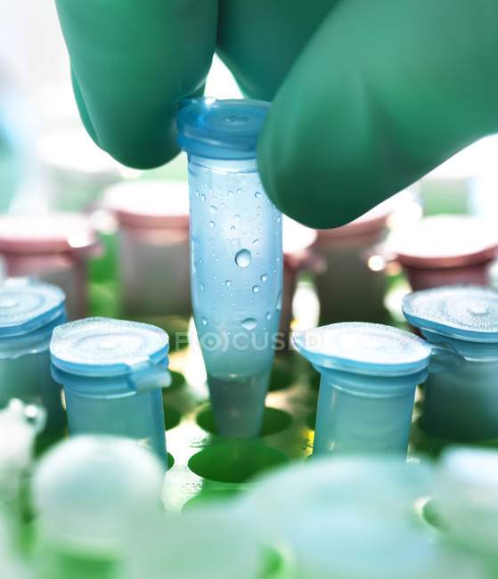 Scientifique tenant à la main un tube micro-centrifuge contenant un échantillon biologique
. — Photo de stock