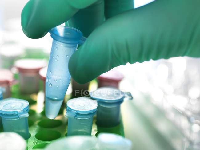 Scientifique tenant à la main un tube micro-centrifuge contenant un échantillon biologique . — Photo de stock