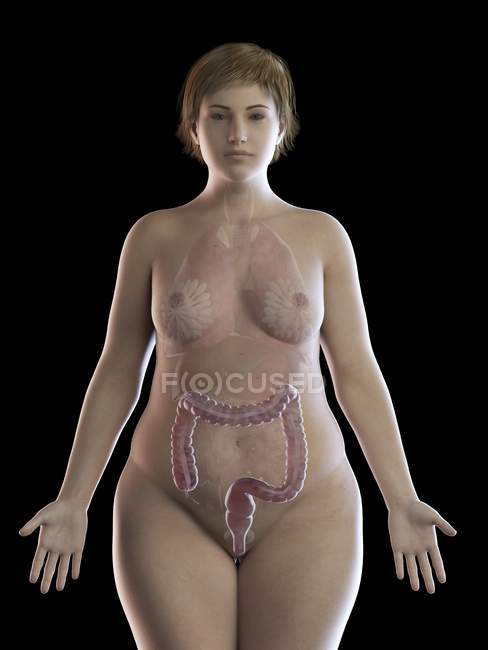 Ilustración de mujer con sobrepeso con colon visible sobre fondo negro . - foto de stock