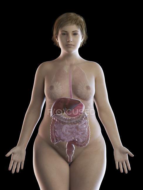 Illustration of overweight woman with visible digestive system on black background. — Stock Photo