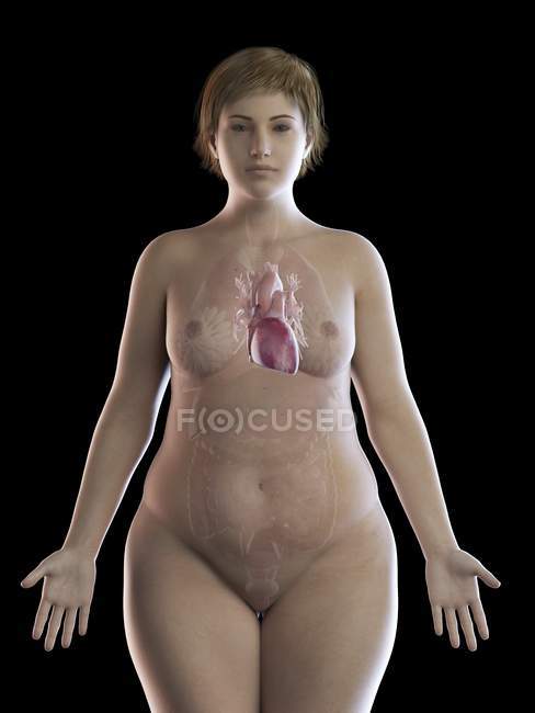 Иллюстрация толстой женщины с видимым сердцем на черном фоне . — стоковое фото
