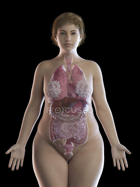 Иллюстрация толстой женщины с видимыми органами на черном фоне . — стоковое фото