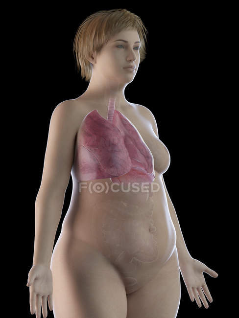 Ілюстрація надмірна вага жінка з видимими легені на чорному фоні. — стокове фото