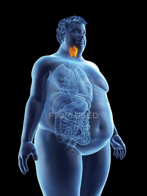 Illustration der Silhouette eines fettleibigen Mannes mit sichtbarem Kehlkopf. — Stockfoto