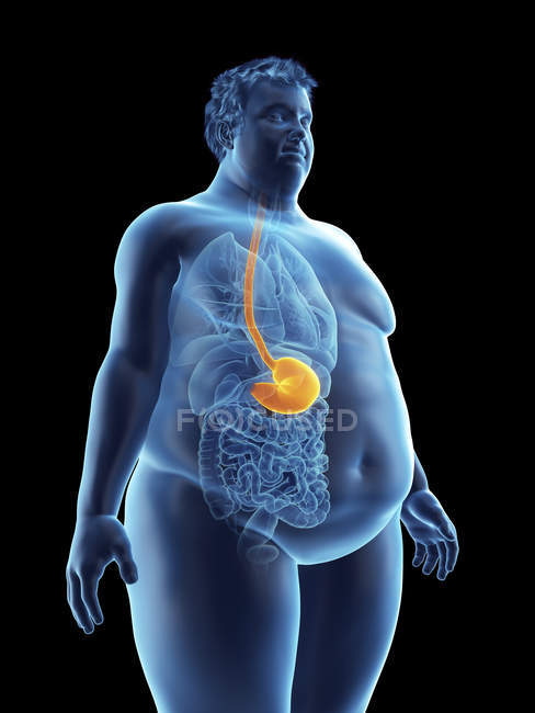 Иллюстрация силуэта толстяка с видимым желудком . — стоковое фото
