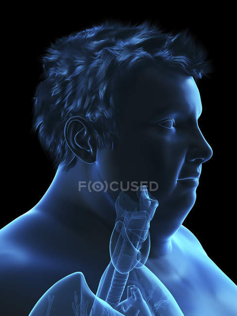 Illustration de la silhouette d'un homme obèse avec anatomie visible de la gorge . — Photo de stock