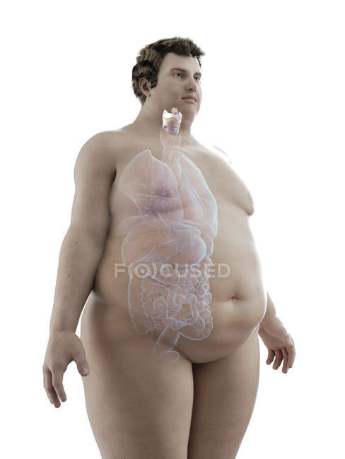 Ilustración de la figura del hombre obeso con laringe visible . - foto de stock
