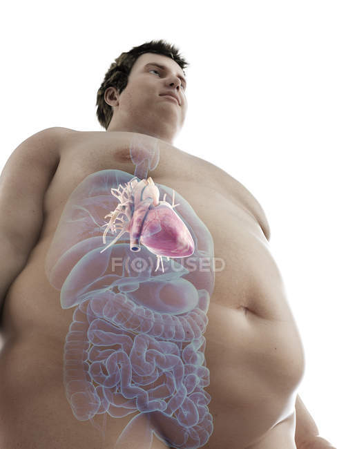 Ілюстрація того, цифра ожирінням людина з видимими серця. — стокове фото