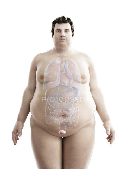 Illustration of figure of obese man with visible bladder. — Stock Photo