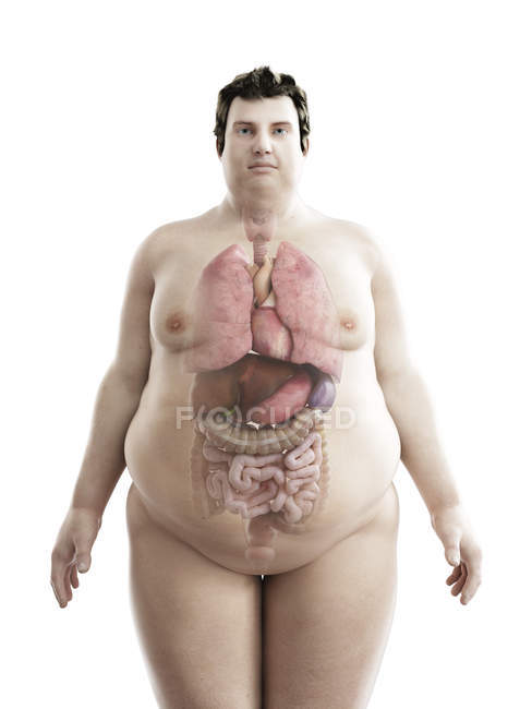 Illustration de la figure de l'homme obèse avec des organes visibles . — Photo de stock