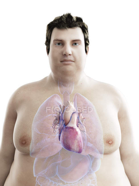 Illustration de la figure de l'homme obèse au cœur visible . — Photo de stock