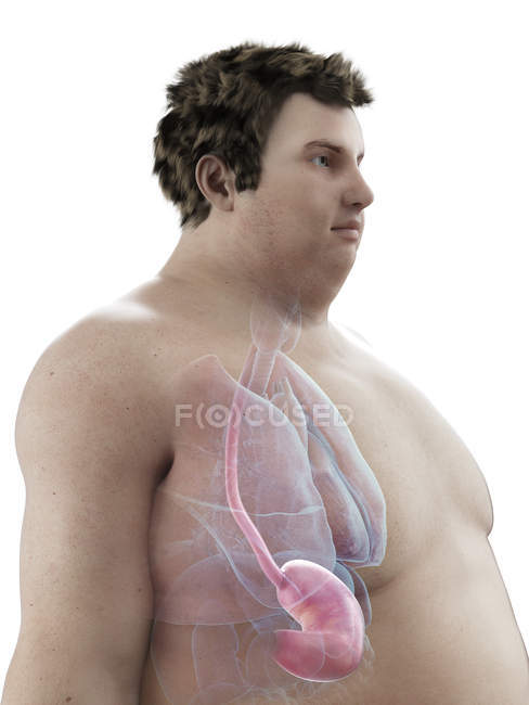 Illustrazione della figura dell'uomo obeso con stomaco visibile . — Foto stock