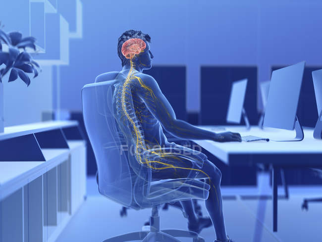 Illustration von Gehirn und Nerven männlicher Büroangestellter. — Stockfoto