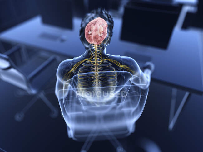 Ilustração do cérebro masculino do trabalhador de escritório e nervos . — Fotografia de Stock