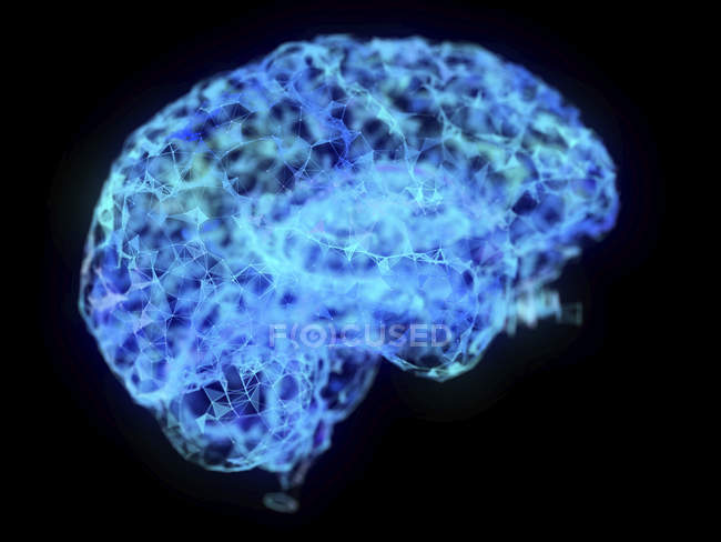 Abbildung des abstrakten Plexus-Gehirns auf schwarzem Hintergrund. — Stockfoto