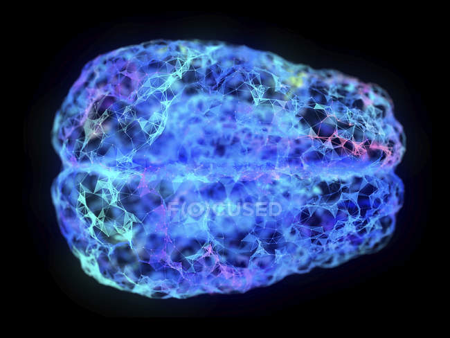 Abbildung des abstrakten Plexus-Gehirns auf schwarzem Hintergrund. — Stockfoto