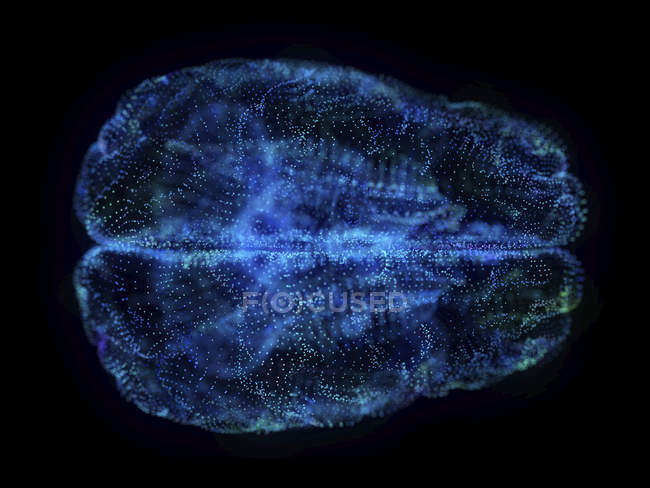 Illustrazione del cervello astratto del plesso su sfondo nero . — Foto stock
