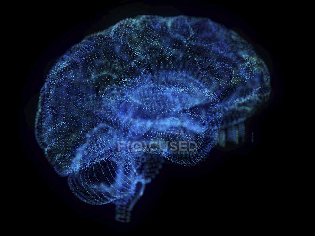 Illustration of abstract plexus brain on black background. — Stock Photo