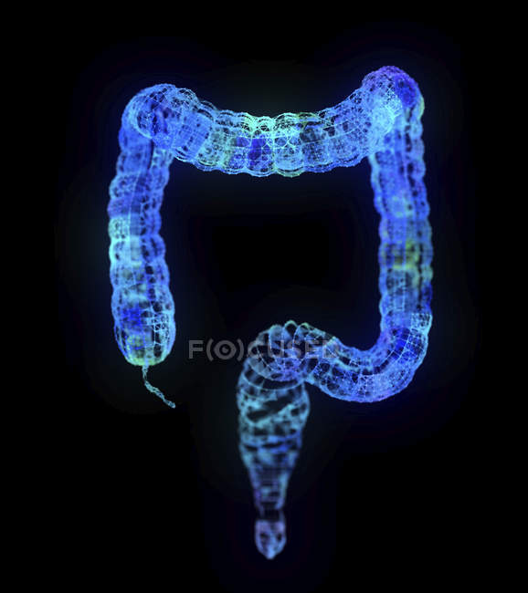 Illustration of abstract plexus colon. on black background. — Stock Photo