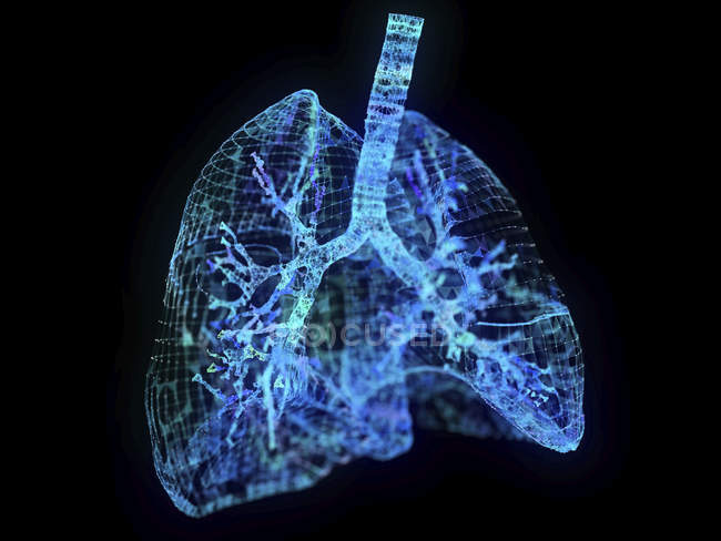 Illustrazione di polmoni astratti in plesso su sfondo nero . — Foto stock