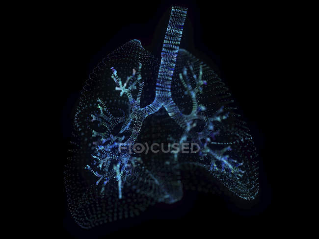 Illustration of abstract plexus lungs on black background. — Stock Photo