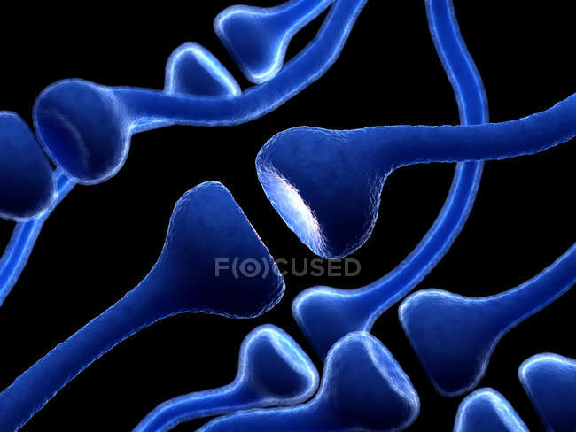 Ilustración de los receptores nerviosos humanos sobre fondo negro
. - foto de stock