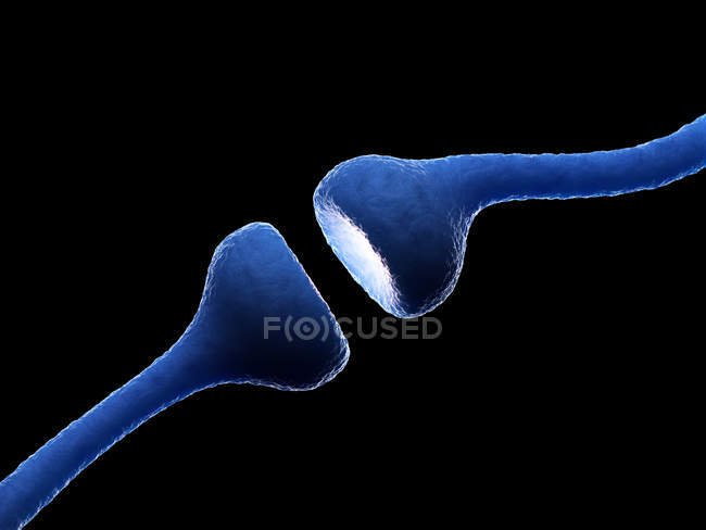 Illustration menschlicher Nervenrezeptoren auf schwarzem Hintergrund. — Stockfoto
