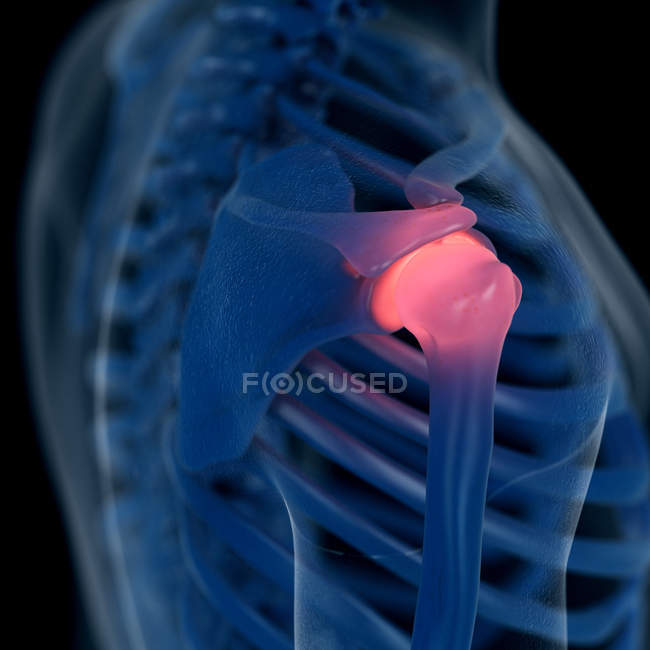 Illustration numérique de l'épaule douloureuse dans le squelette humain
. — Photo de stock