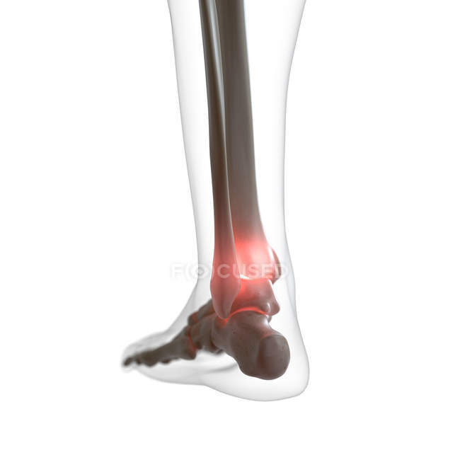 Illustrazione digitale della caviglia dolorosa nello scheletro umano . — Foto stock
