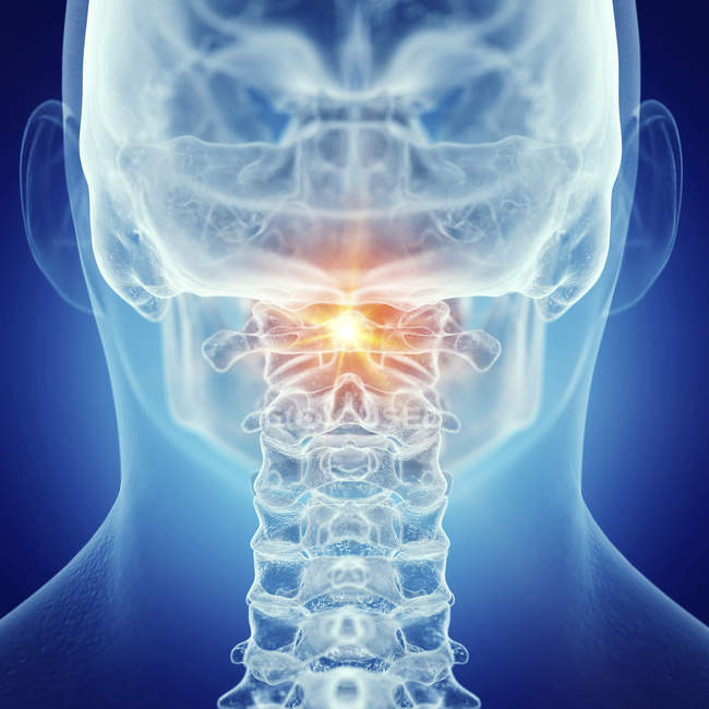Illustrazione di atlante doloroso nello scheletro umano su sfondo blu . — Foto stock