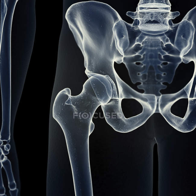 Illustration des Hüftgelenks im menschlichen Skelett auf schwarzem Hintergrund. — Stockfoto
