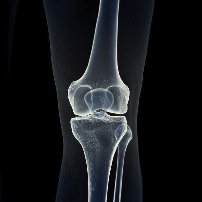 Ilustração dos ossos do joelho no esqueleto humano sobre fundo preto . — Fotografia de Stock