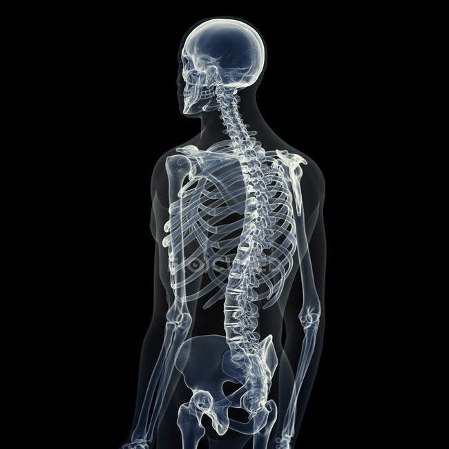 Abbildung des menschlichen Skeletts auf schwarzem Hintergrund. — Stockfoto