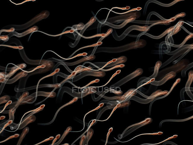 Ilustración de esperma humano sobre fondo negro . - foto de stock
