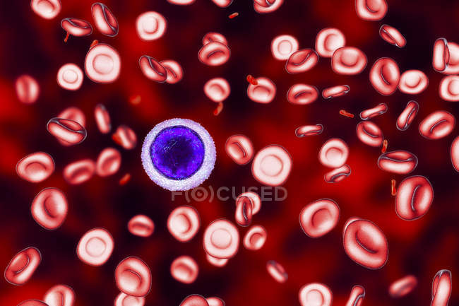 Digital illustration of hypochromic and microcytic red blood cells while iron deficiency anaemia. — Stock Photo