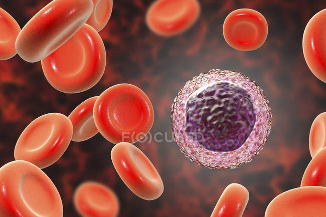 Лимфоциты лейкоциты в мазке крови, цифровая иллюстрация
. — стоковое фото