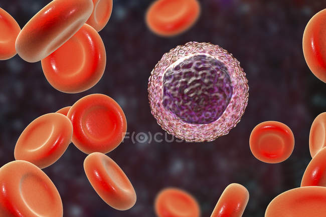 Glóbulos blancos linfocitos en frotis de sangre, ilustración digital . - foto de stock