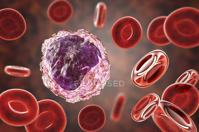 Моноцити білі кров'яні тільця в мазку крові, цифрова ілюстрація . — стокове фото